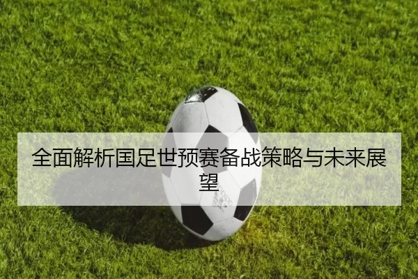全面解析国足世预赛备战策略与未来展望
