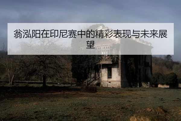 翁泓阳在印尼赛中的精彩表现与未来展望